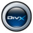 Divx Video